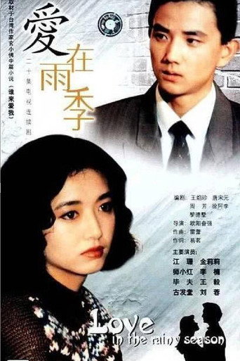 愛在雨季海報