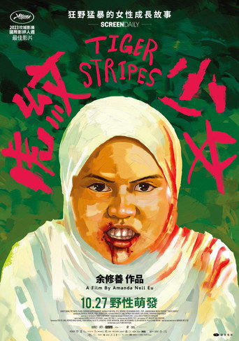 虎紋少女海報