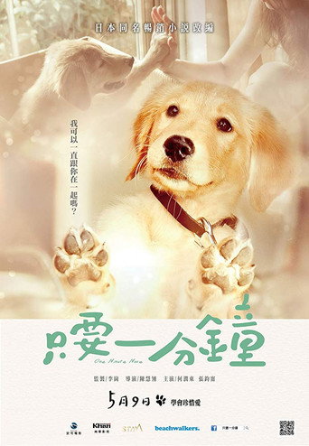 我的男友和狗海報