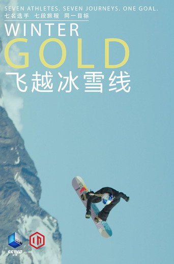 飛越冰雪線海報