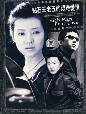 鑽石王老五的艱難愛情海報