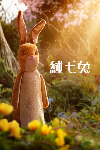 絨毛兔海報