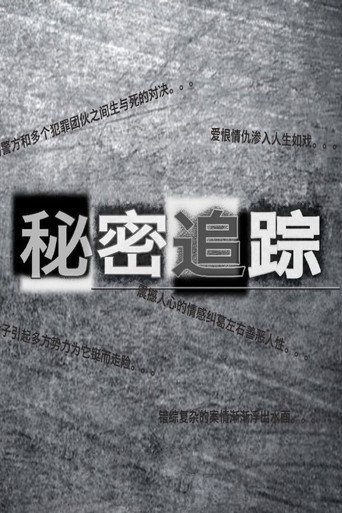 秘密追蹤海報