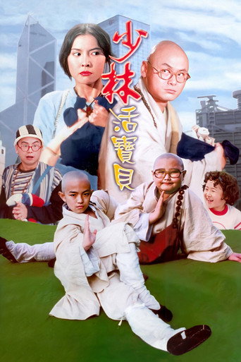 少林活寶貝海報