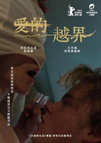 愛的越界海報