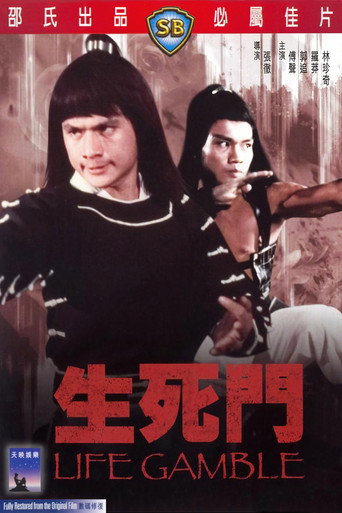 生死門海報