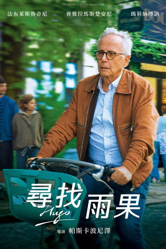 尋找雨果海報
