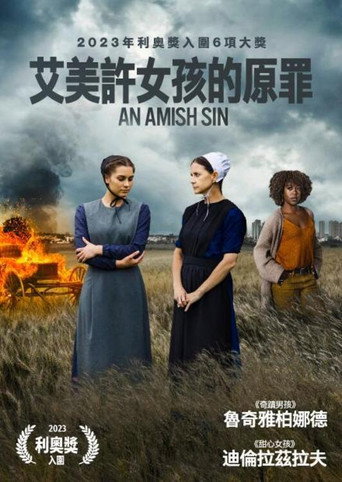 艾美許女孩的原罪海報