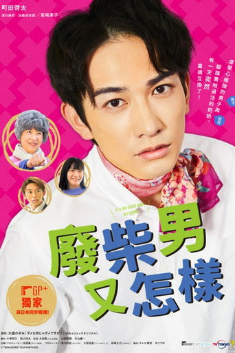 廢柴男又怎樣海報
