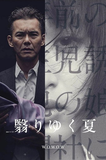 綁匪的女兒海報