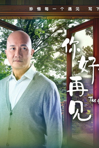 你好,再見海報