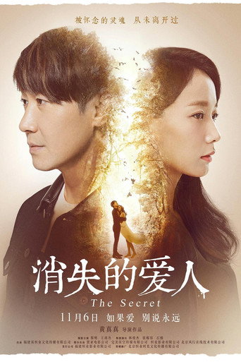 消失愛人海報