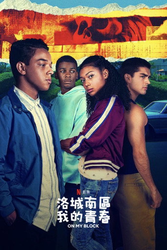 洛城南區,我的青春海報