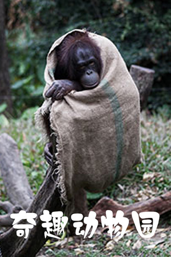 奇趣動物園海報