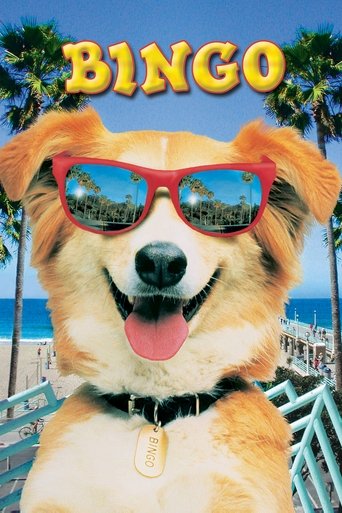 靈犬賓果海報