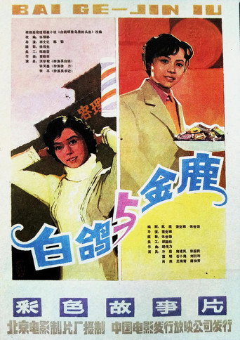 白鸽海報