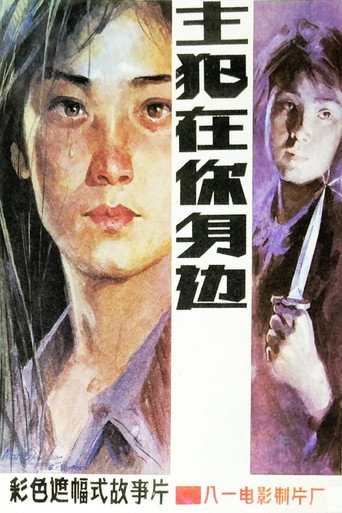 主犯在你身邊海報
