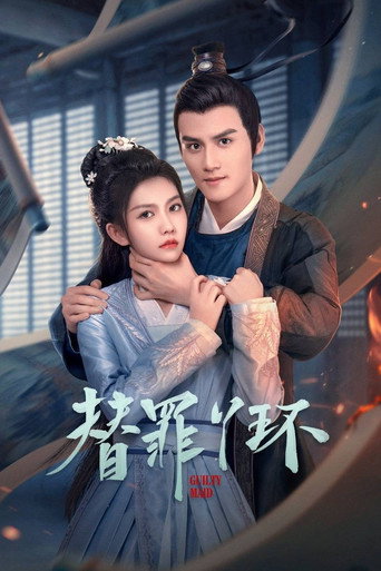 替罪丫環海報