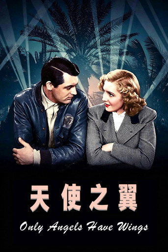 天使之翼海報