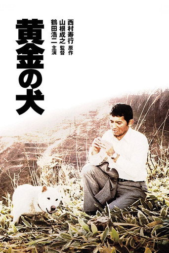 黃金之犬海報