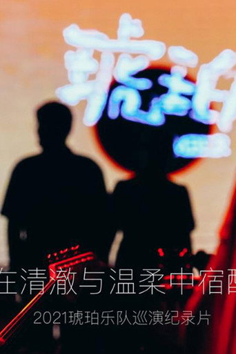 琥珀,在清澈與溫柔中宿醉海報