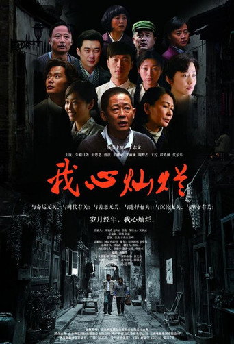 我心燦爛海報