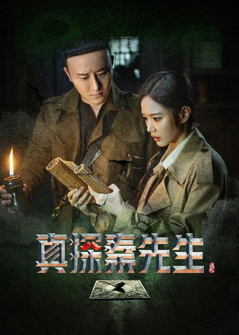 真探秦先生 第1季海報