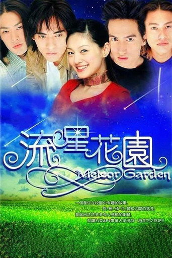 流星花園海報