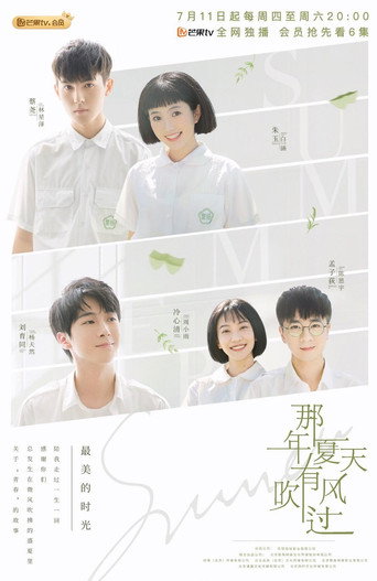 那年夏天有風吹過海報