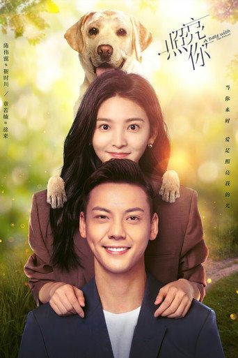 照亮你海報