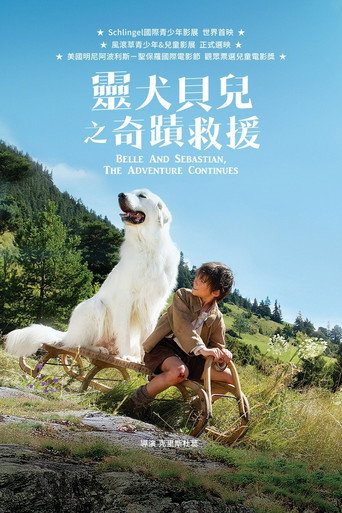 靈犬貝兒之奇蹟救援海報
