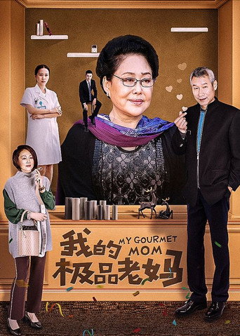我的極品老媽海報