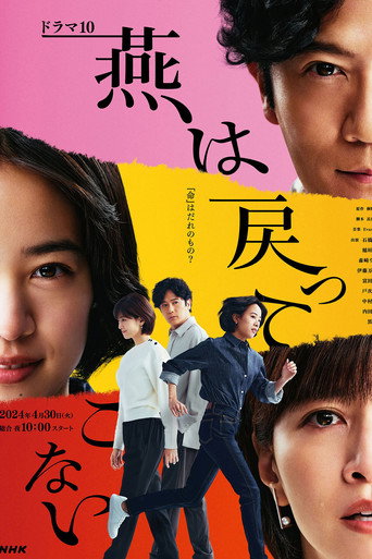 燕子不再歸來海報