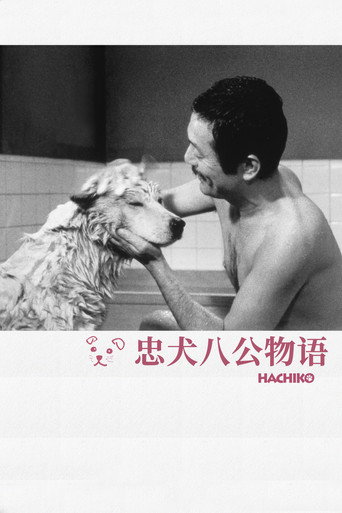 八千公物語海報