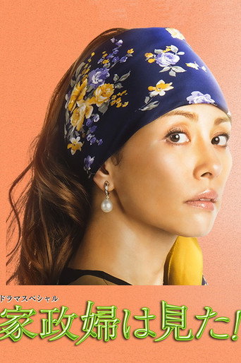 家政婦看見了!海報