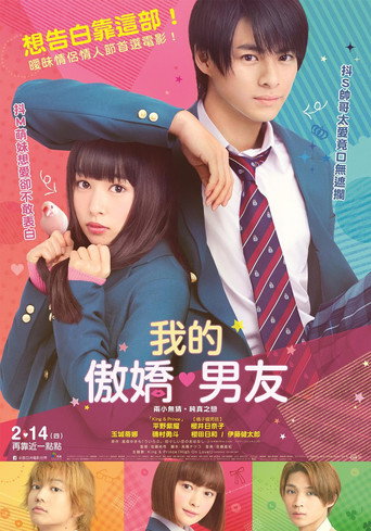 我的傲嬌男友海報