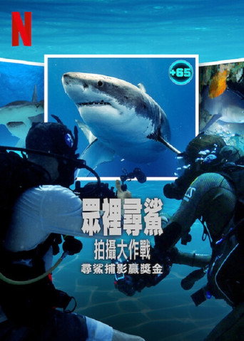 眾裡尋鯊:拍攝大作戰海報