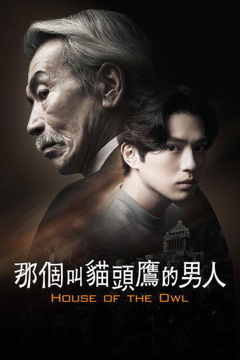那個叫貓頭鷹的男人海報