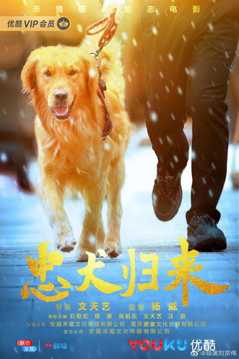 忠犬歸來海報