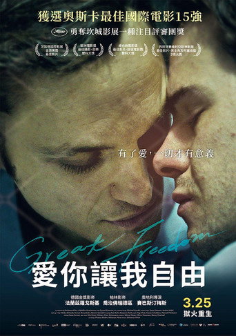 愛你讓我自由海報