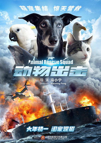 動物出擊海報