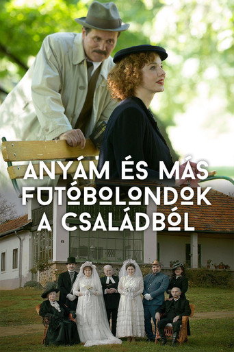 母親與瘋子們海報
