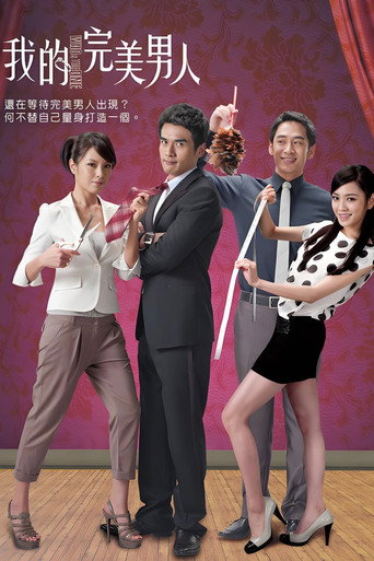 我的完美男人海報