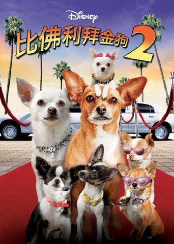 比佛利拜金狗2海報