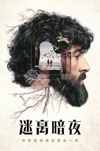 迷離闇夜海報