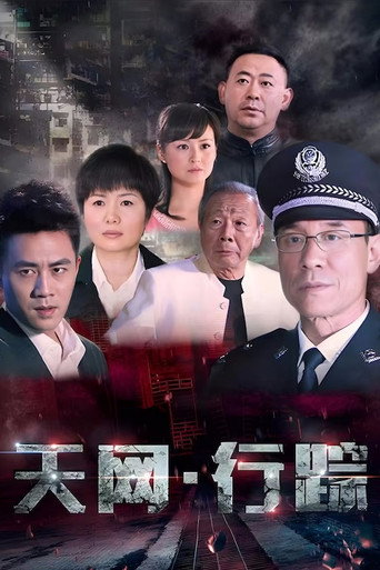 天網·行蹤海報