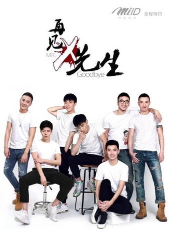 我和x先生 再見 x 先生海報