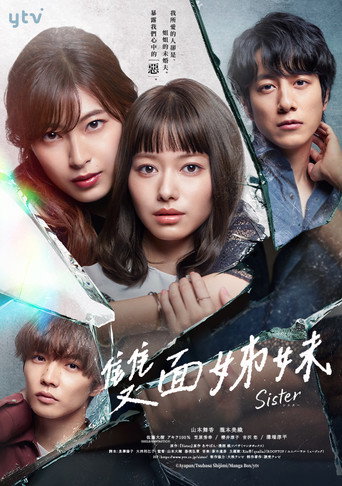 雙面姊妹海報