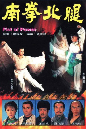 南拳北腿海報
