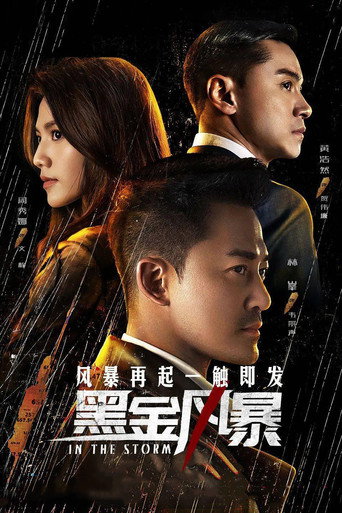黑金風暴海報